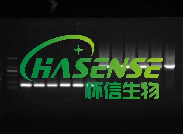 RNA提取服務(wù)